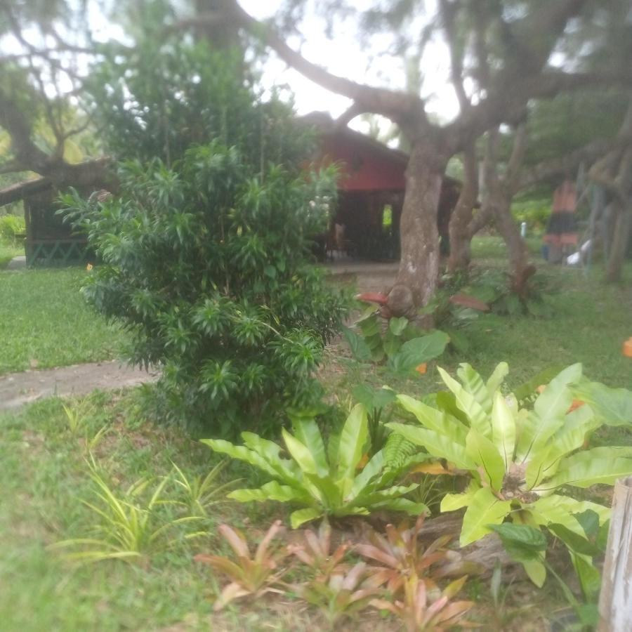 Koh Mook Oyoy Reggaebar Bungalow Exterior foto